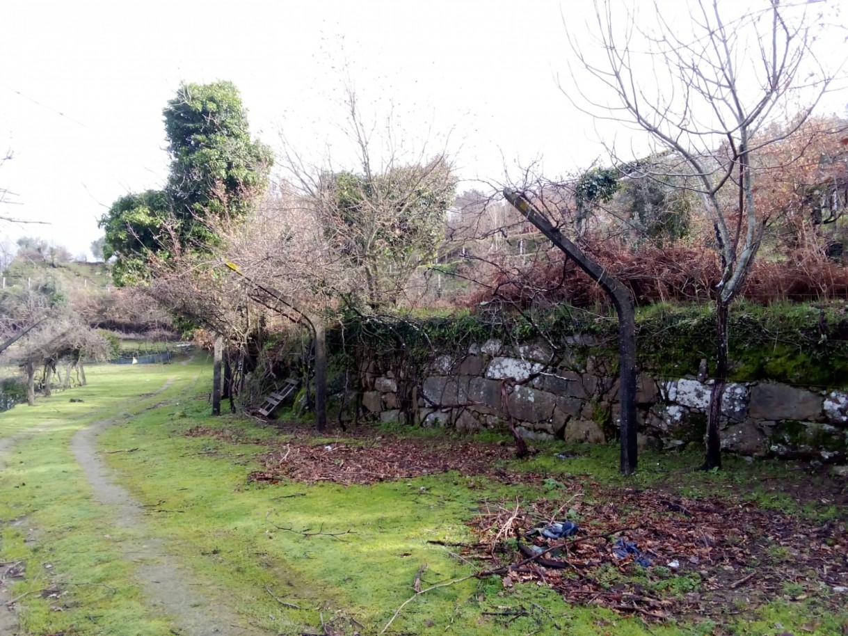 whatsapp-image-2026-01-31-at-105328jpeg