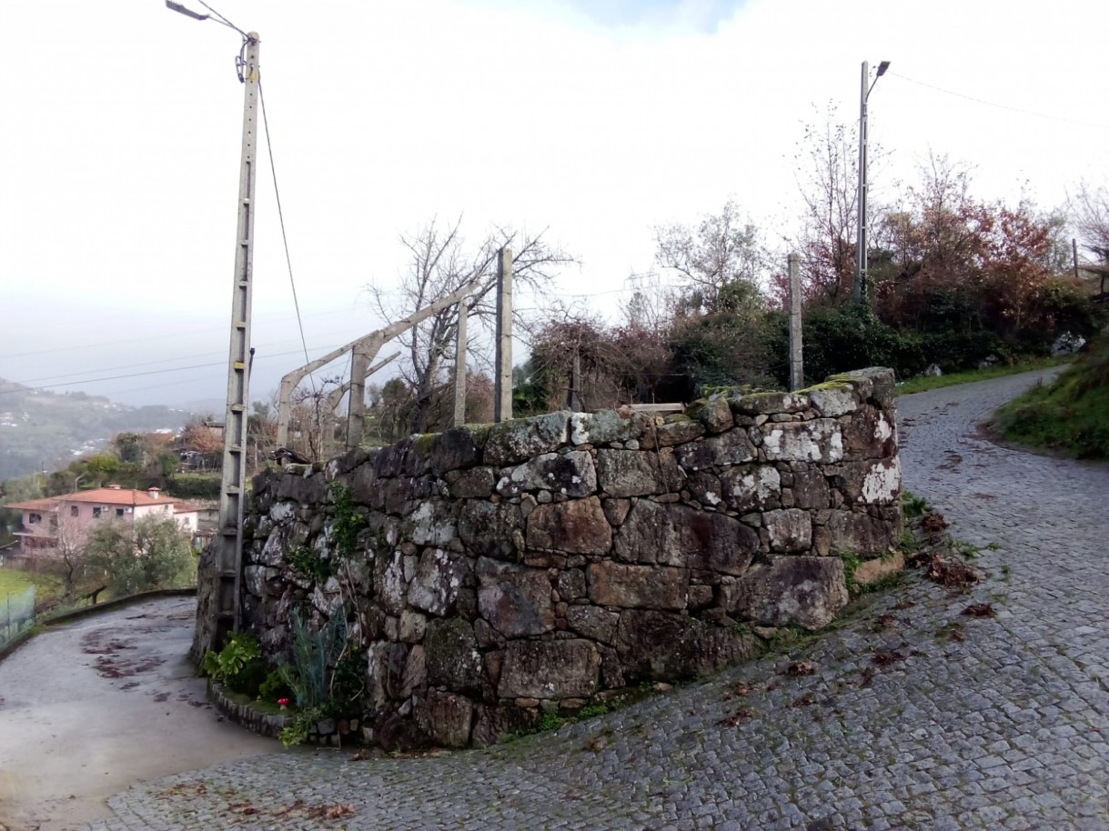 whatsapp-image-2026-01-31-at-105326jpeg