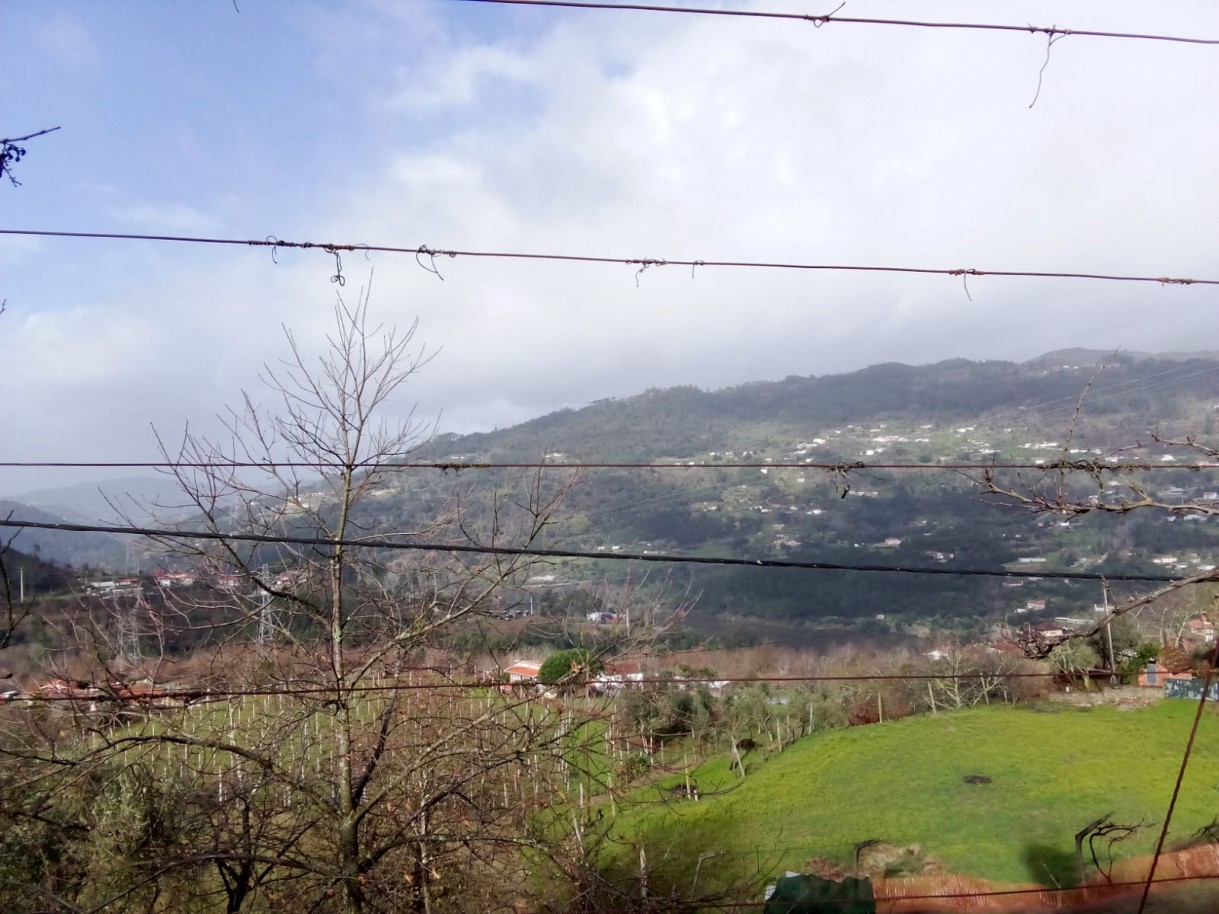 whatsapp-image-2026-01-31-at-105330-1jpeg