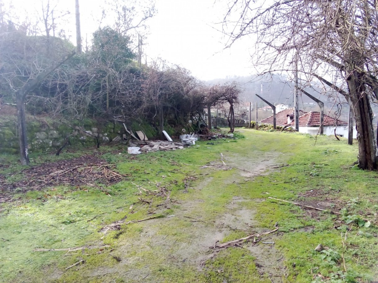 whatsapp-image-2026-01-31-at-105329jpeg