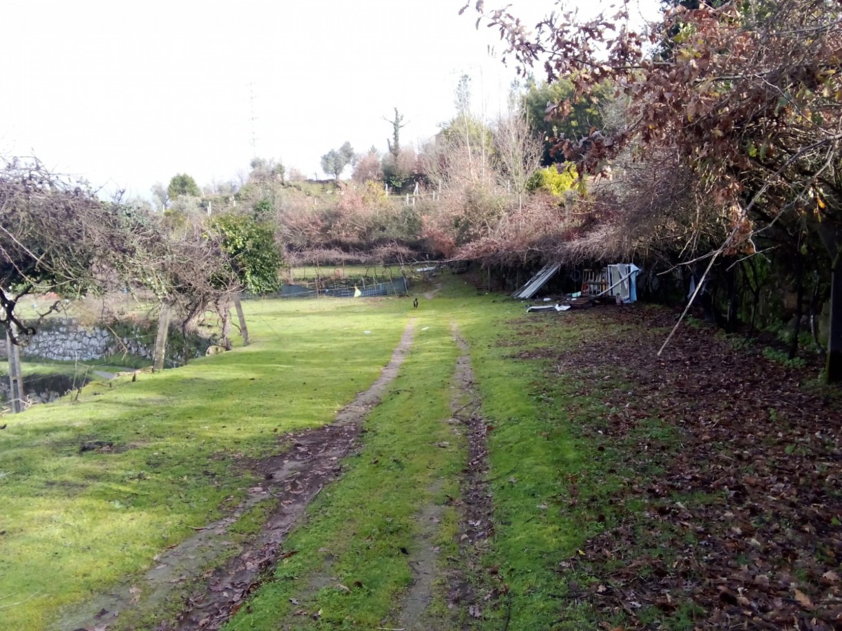 whatsapp-image-2026-01-31-at-105333-1jpeg