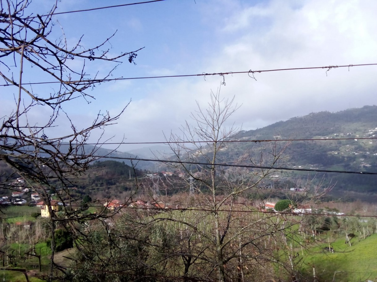 whatsapp-image-2026-01-31-at-105332jpeg