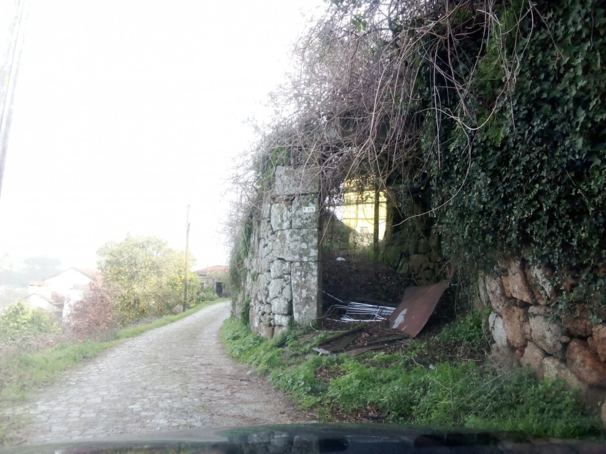 whatsapp-image-2026-01-31-at-105333-2jpeg