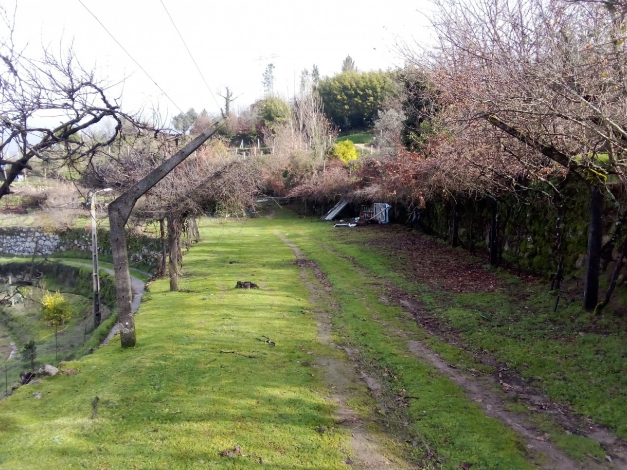 whatsapp-image-2026-01-31-at-105333jpeg