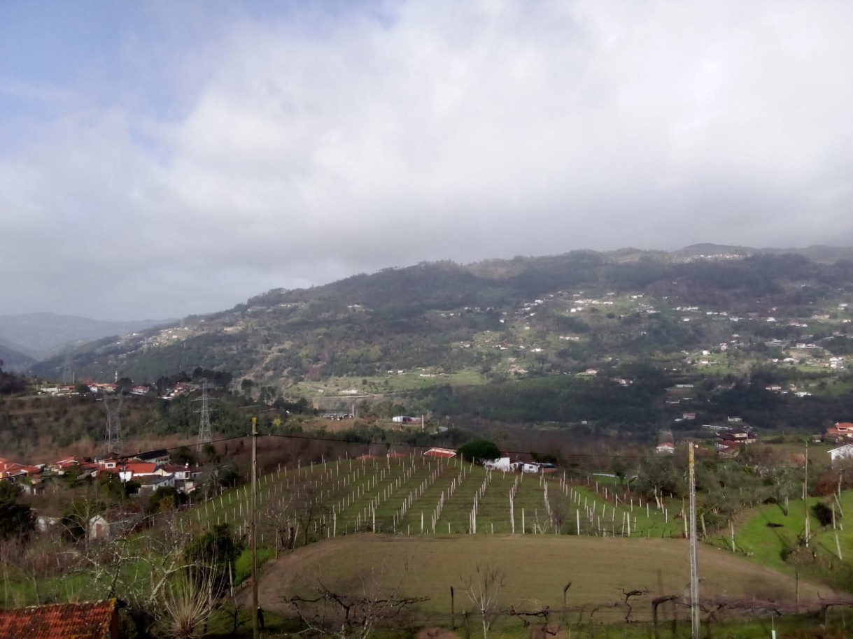 whatsapp-image-2026-01-31-at-105334jpeg