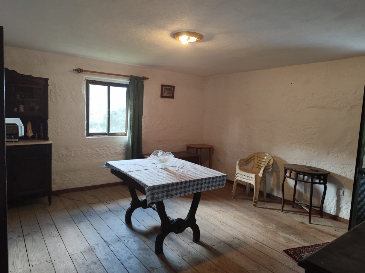 whatsapp-image-2026-02-19-at-150815jpeg