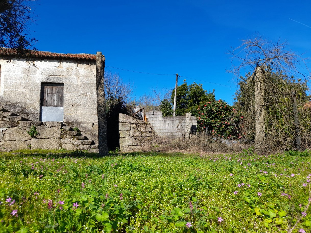 whatsapp-image-2026-02-23-at-113032-1jpeg