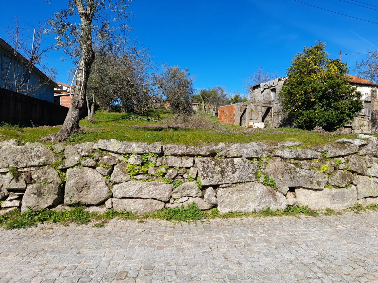 whatsapp-image-2026-02-23-at-113029jpeg