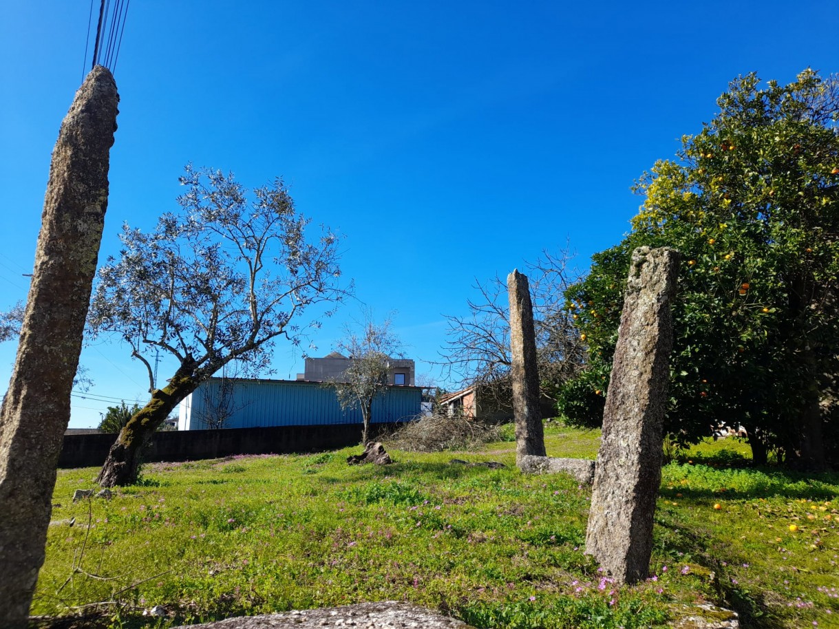 whatsapp-image-2026-02-23-at-113035jpeg