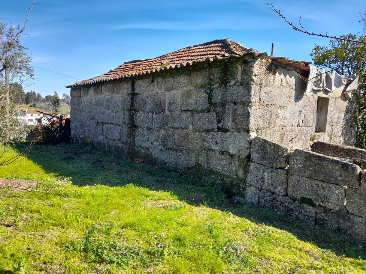 whatsapp-image-2026-02-23-at-113037-2jpeg