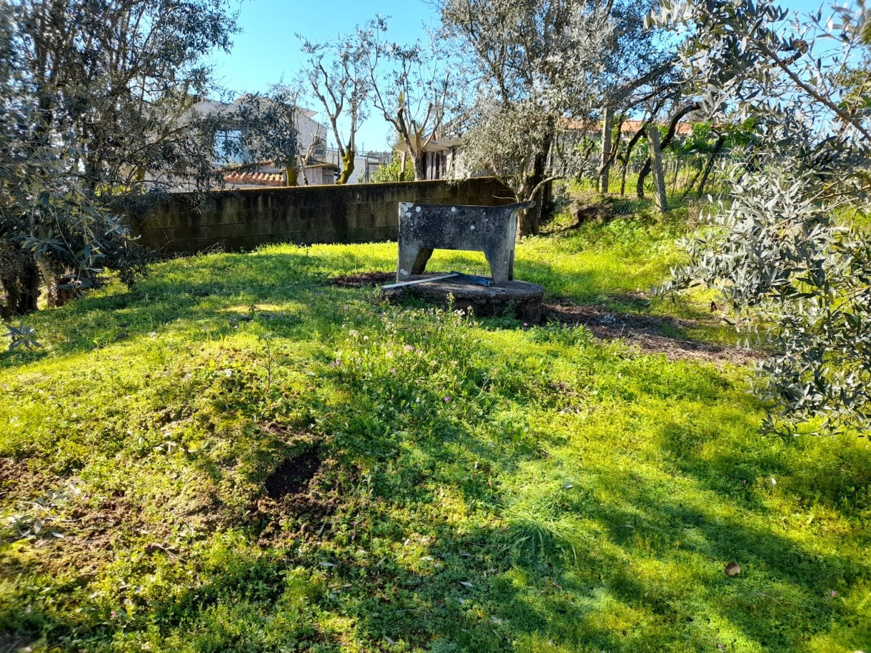 whatsapp-image-2026-02-23-at-113037-3jpeg