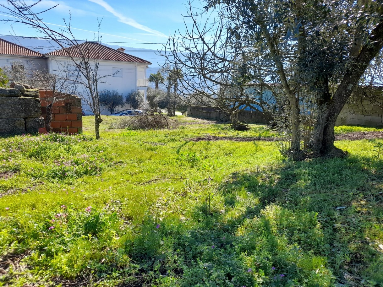 whatsapp-image-2026-02-23-at-113037-4jpeg