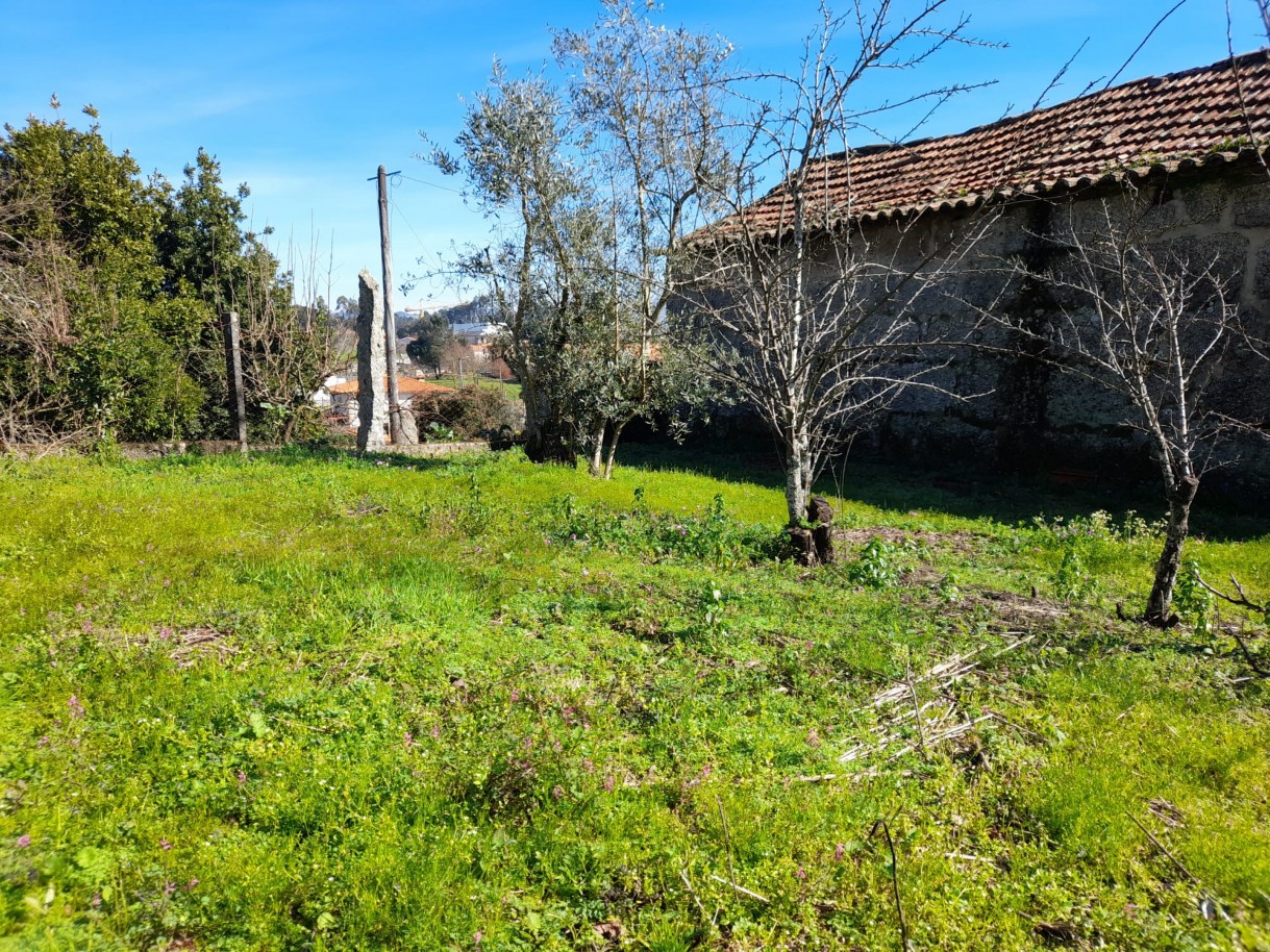 whatsapp-image-2026-02-23-at-113037-5jpeg