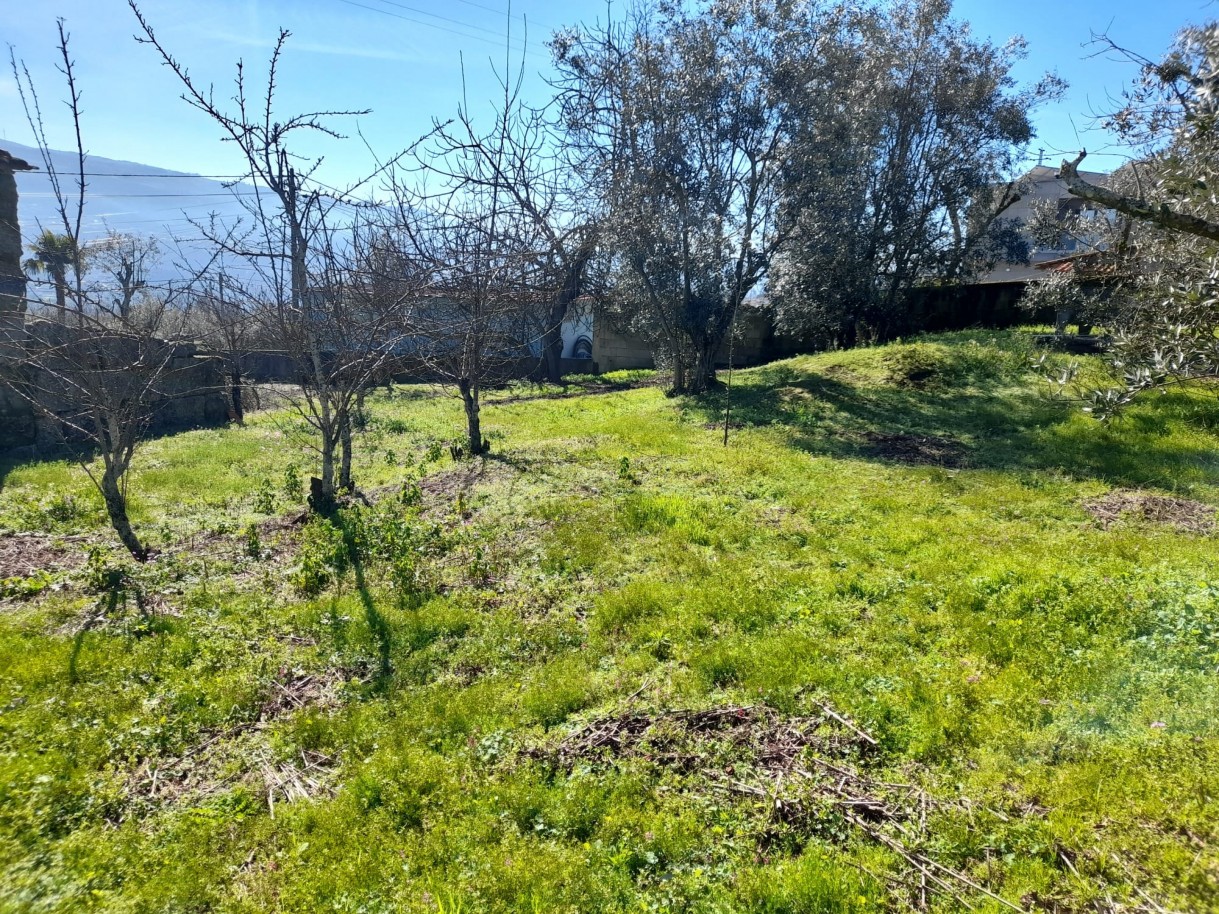 whatsapp-image-2026-02-23-at-113038-1jpeg