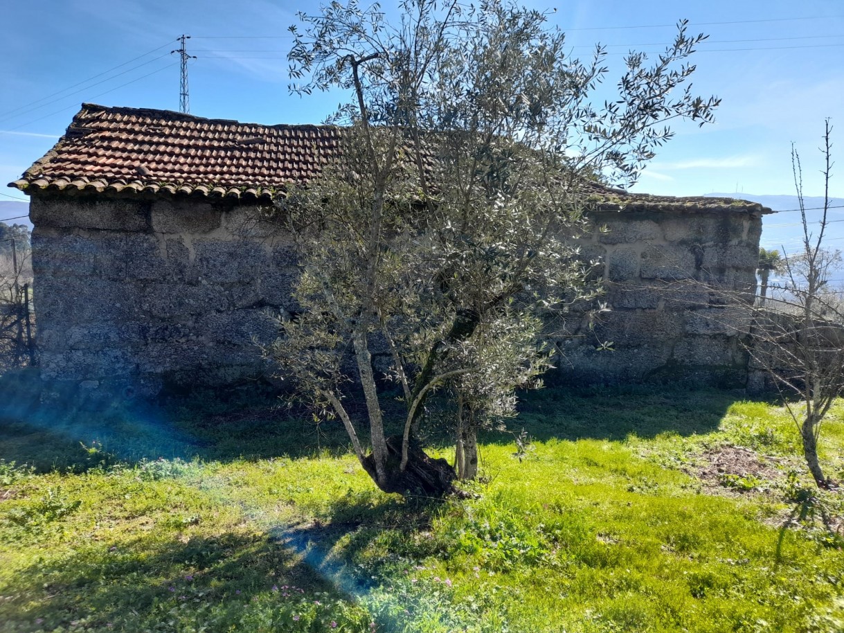 whatsapp-image-2026-02-23-at-113038-2jpeg