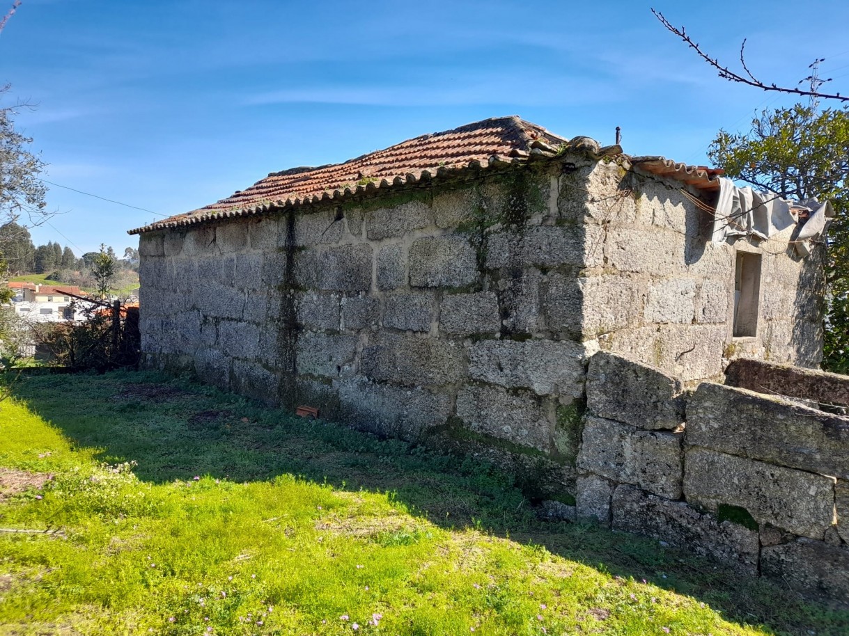 whatsapp-image-2026-02-23-at-113038-3jpeg