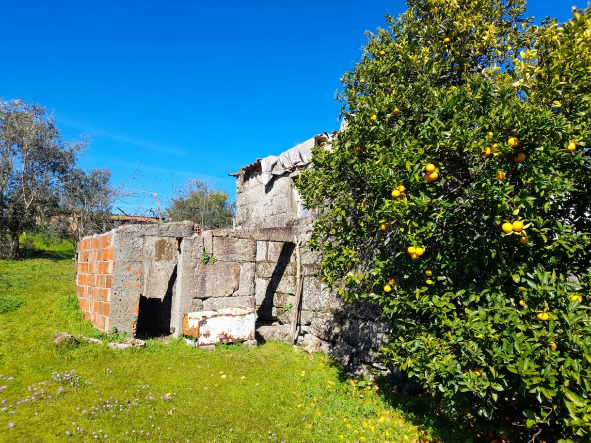 whatsapp-image-2026-02-23-at-113038-5jpeg