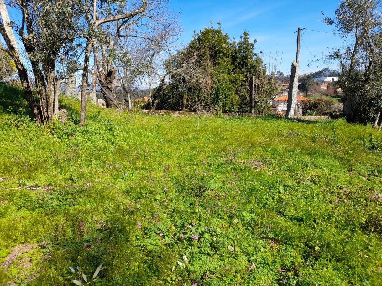 whatsapp-image-2026-02-23-at-113038jpeg