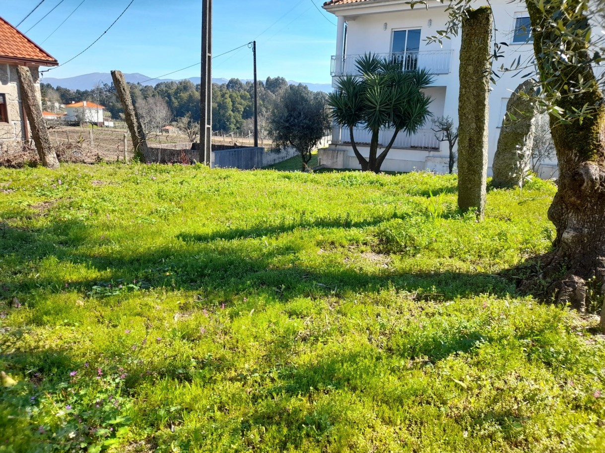 whatsapp-image-2026-02-23-at-113039-2jpeg