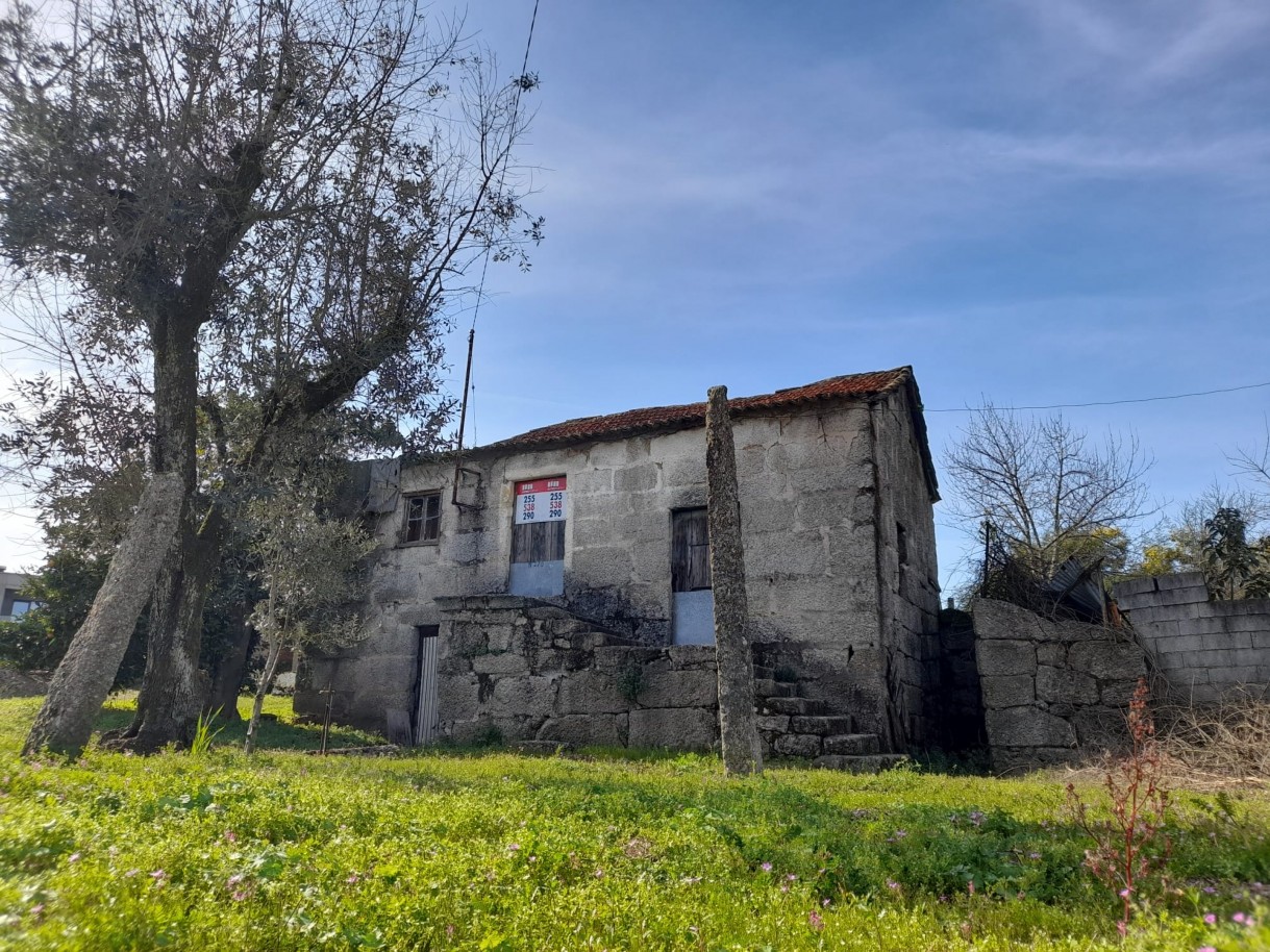 whatsapp-image-2026-02-23-at-144452-1jpeg