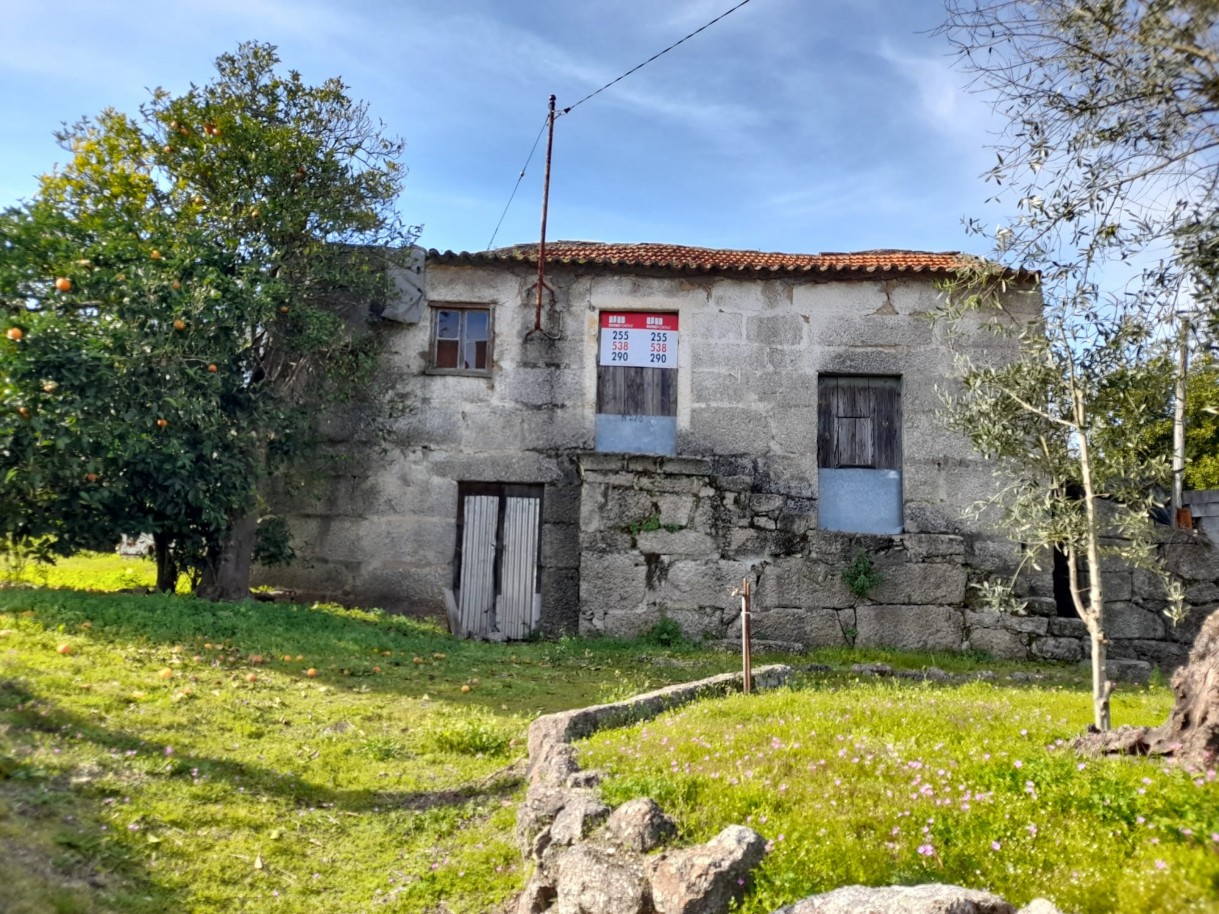 whatsapp-image-2026-02-23-at-144452jpeg