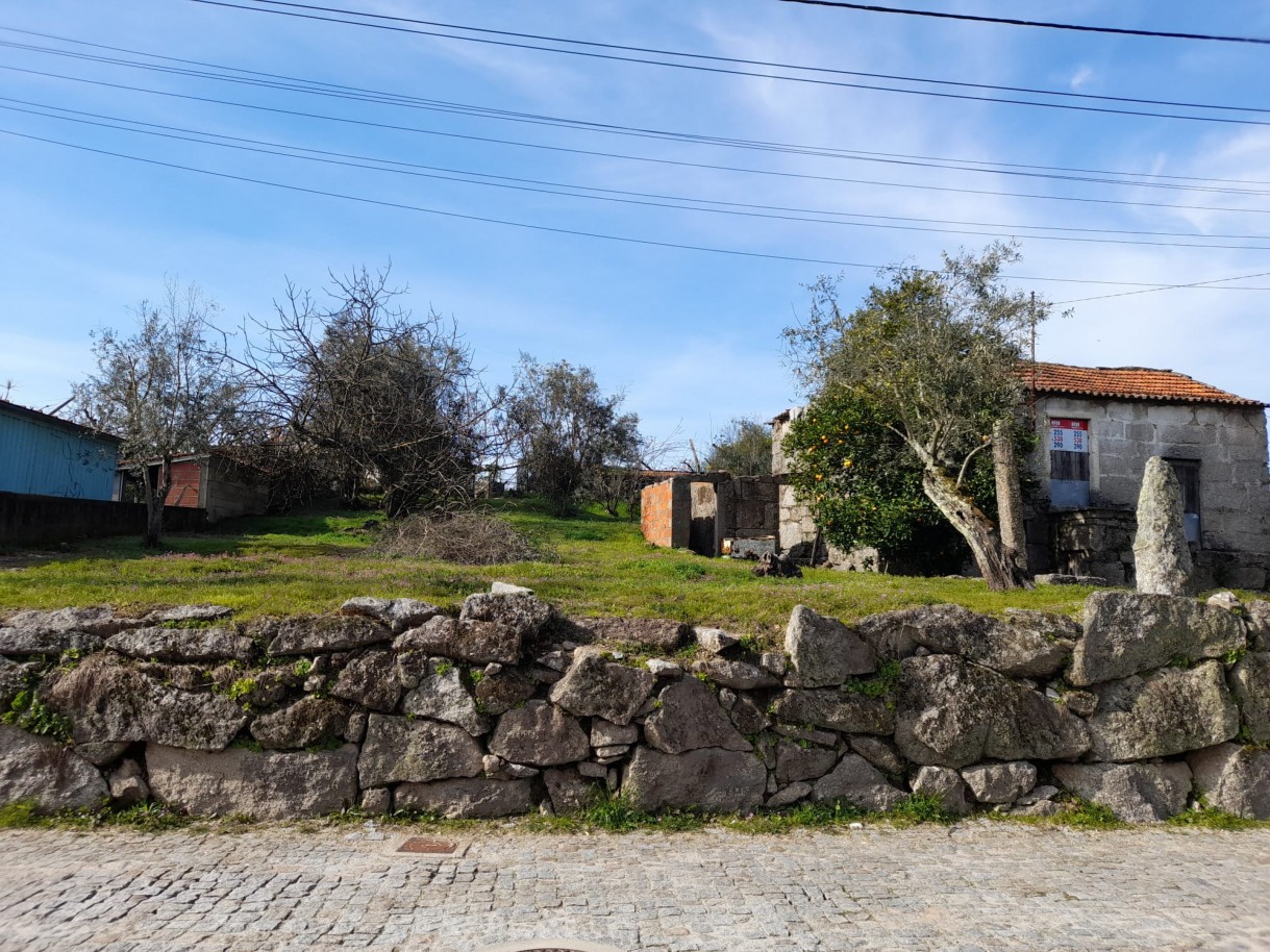 whatsapp-image-2026-02-23-at-144632jpeg