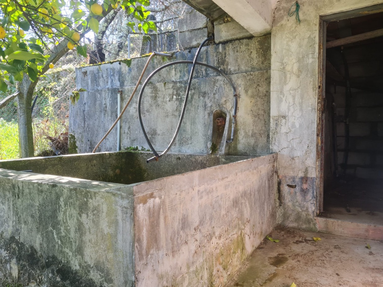 whatsapp-image-2026-02-23-at-113338-1jpeg