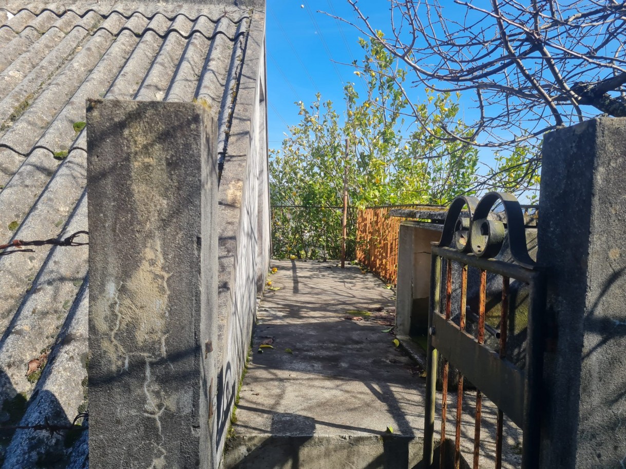 whatsapp-image-2026-02-23-at-113338-2jpeg