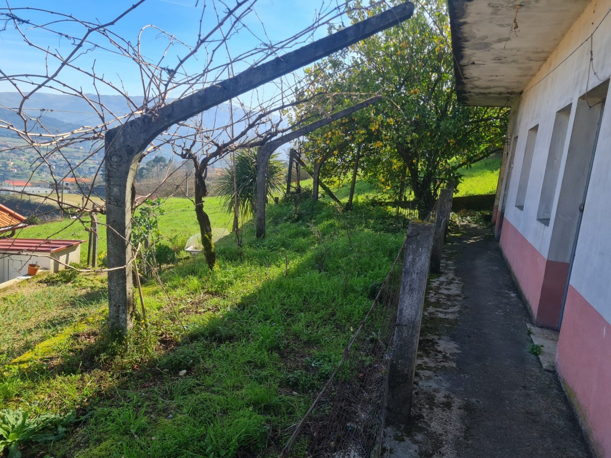 whatsapp-image-2026-02-23-at-113338jpeg