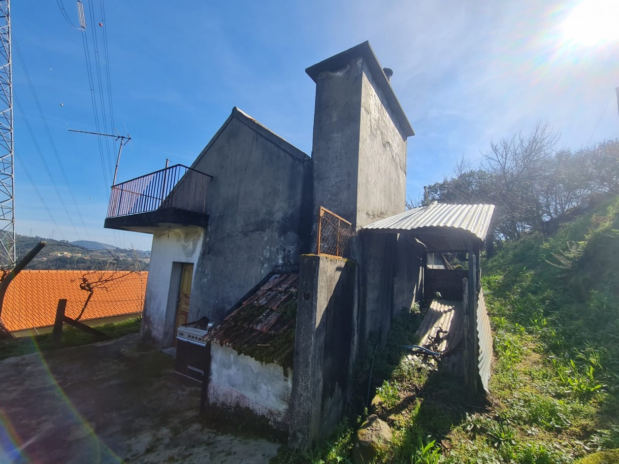 whatsapp-image-2026-02-23-at-113339-2jpeg