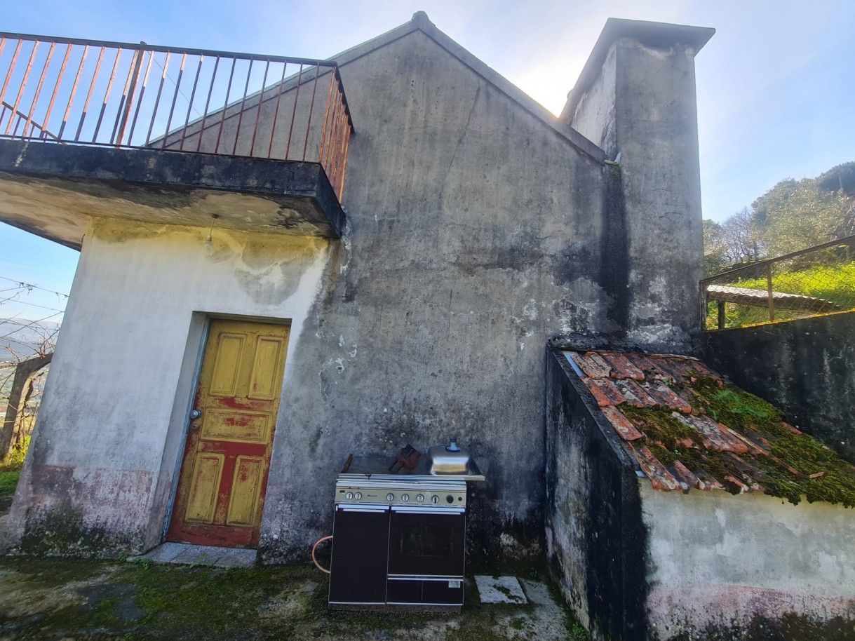 whatsapp-image-2026-02-23-at-113339-4jpeg