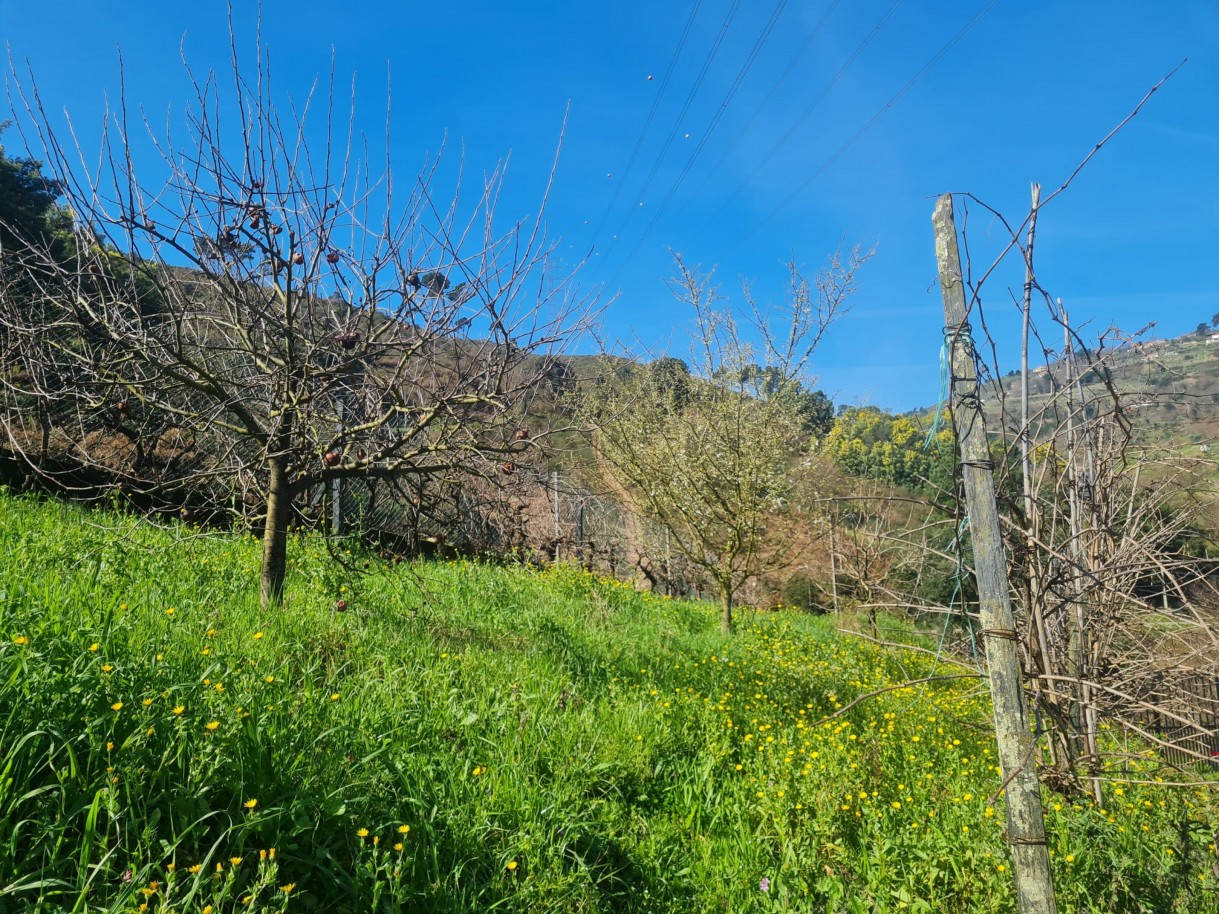 whatsapp-image-2026-02-23-at-113340jpeg