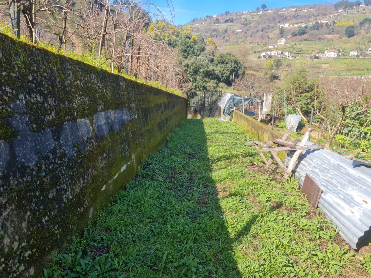 whatsapp-image-2026-02-23-at-113341-3jpeg