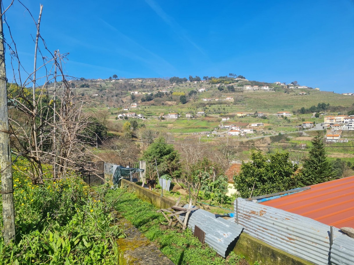 whatsapp-image-2026-02-23-at-113341-2jpeg