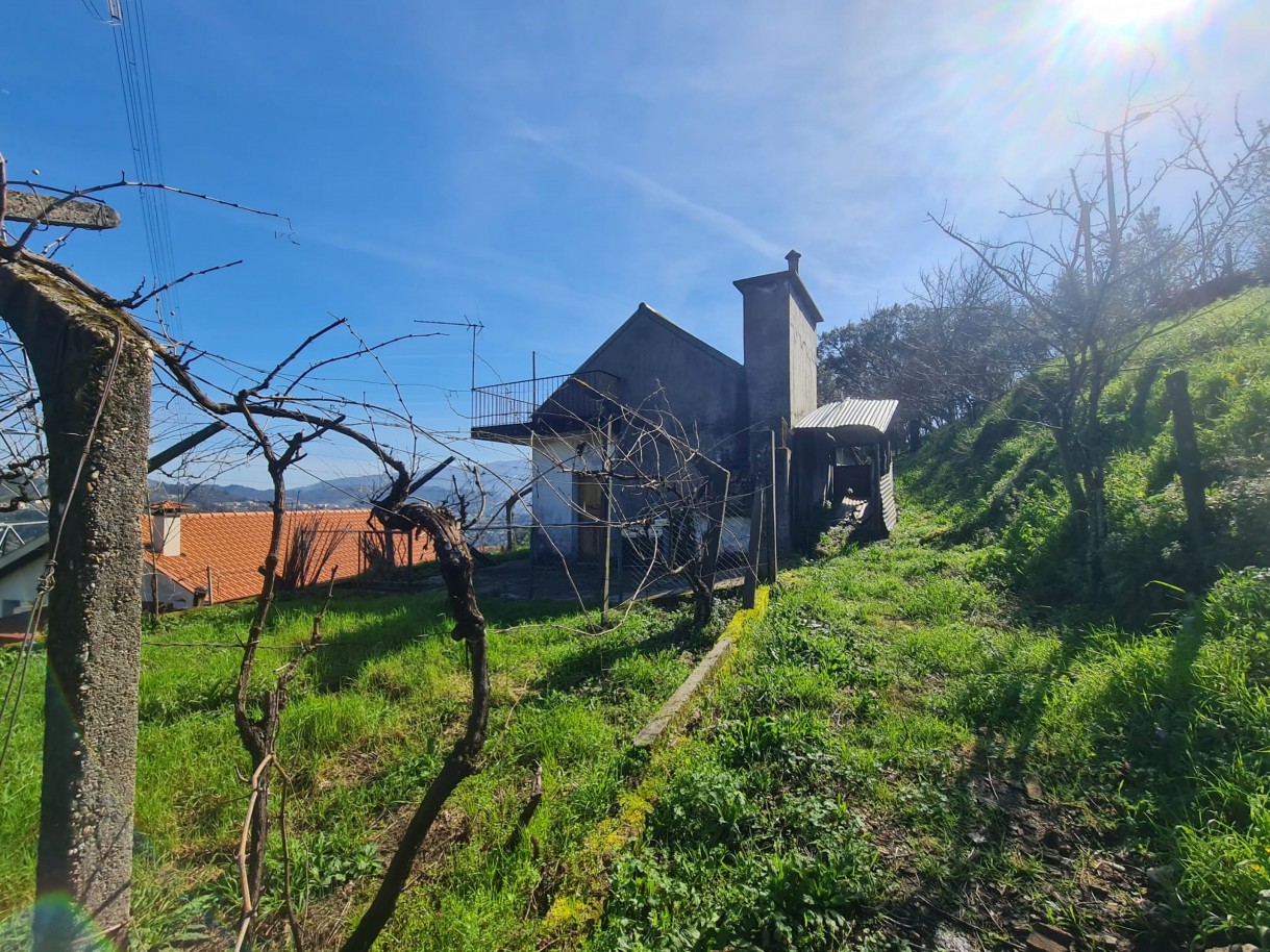 whatsapp-image-2026-02-23-at-113341-5jpeg