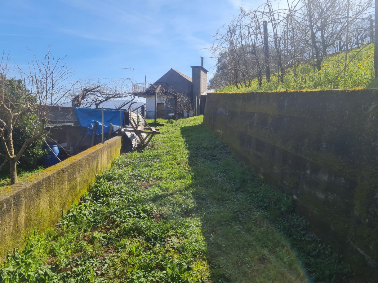 whatsapp-image-2026-02-23-at-113341-6jpeg