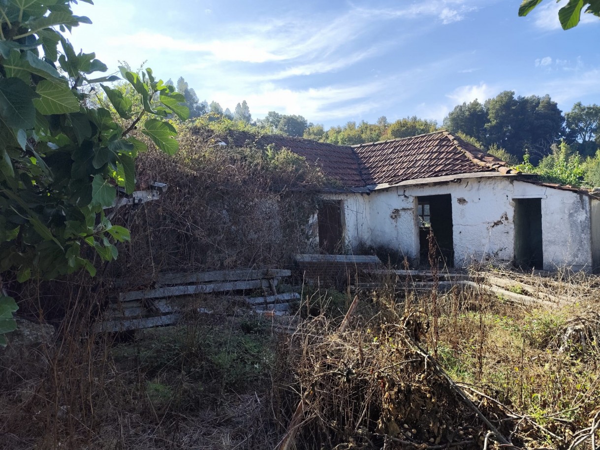 whatsapp-image-2025-10-01-at-164604-4jpeg