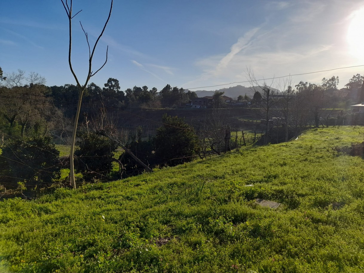 whatsapp-image-2026-03-05-at-111056jpeg