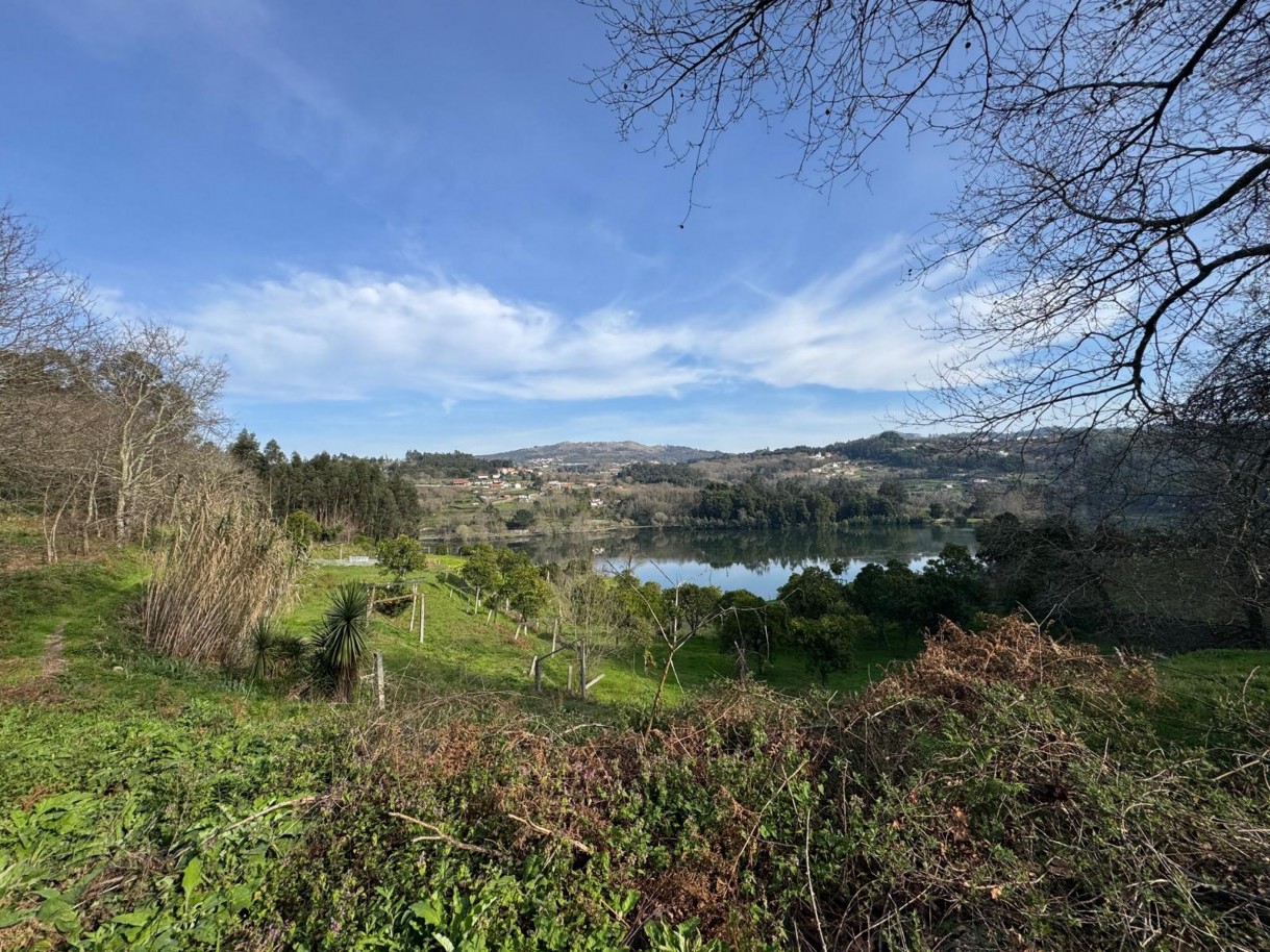 whatsapp-image-2026-03-09-at-102735-3jpeg