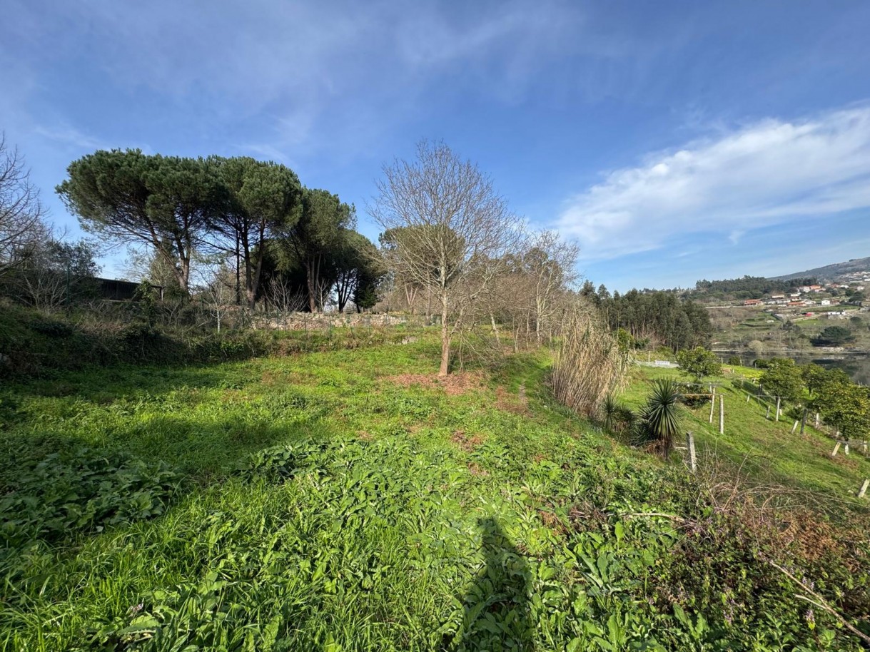 whatsapp-image-2026-03-09-at-102735-4jpeg