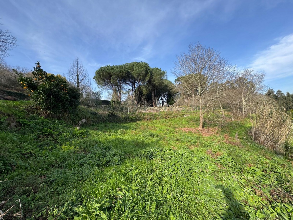 whatsapp-image-2026-03-09-at-102735-5jpeg