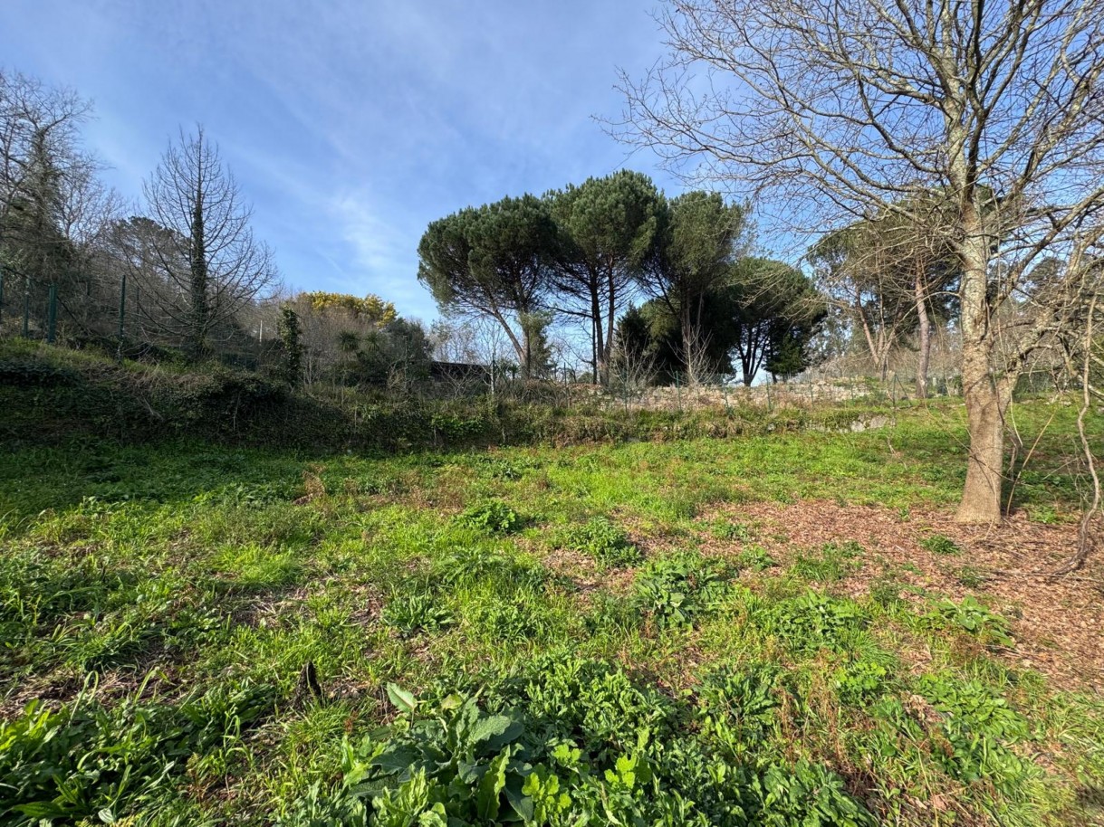 whatsapp-image-2026-03-09-at-102735-6jpeg