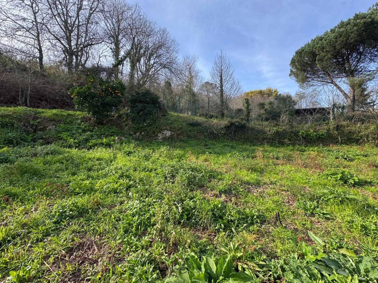 whatsapp-image-2026-03-09-at-102735-7jpeg