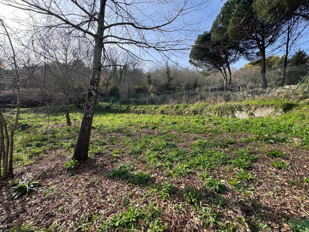 whatsapp-image-2026-03-09-at-102735-18jpeg