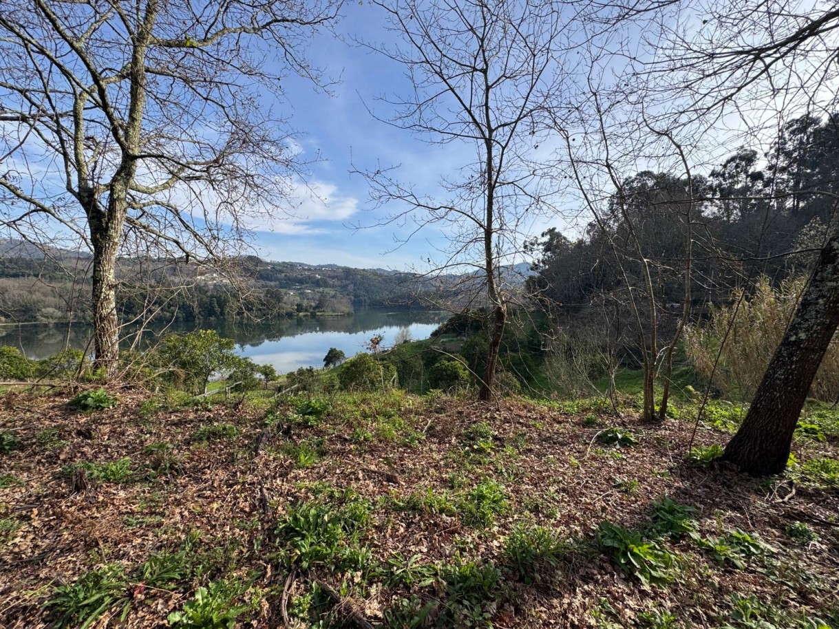 whatsapp-image-2026-03-09-at-102735-19jpeg