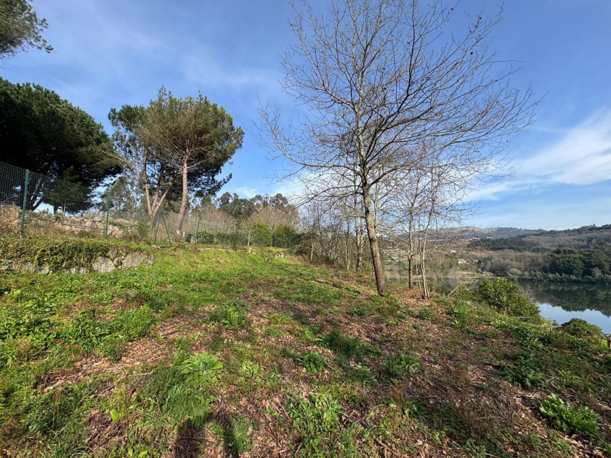 whatsapp-image-2026-03-09-at-102735-24jpeg