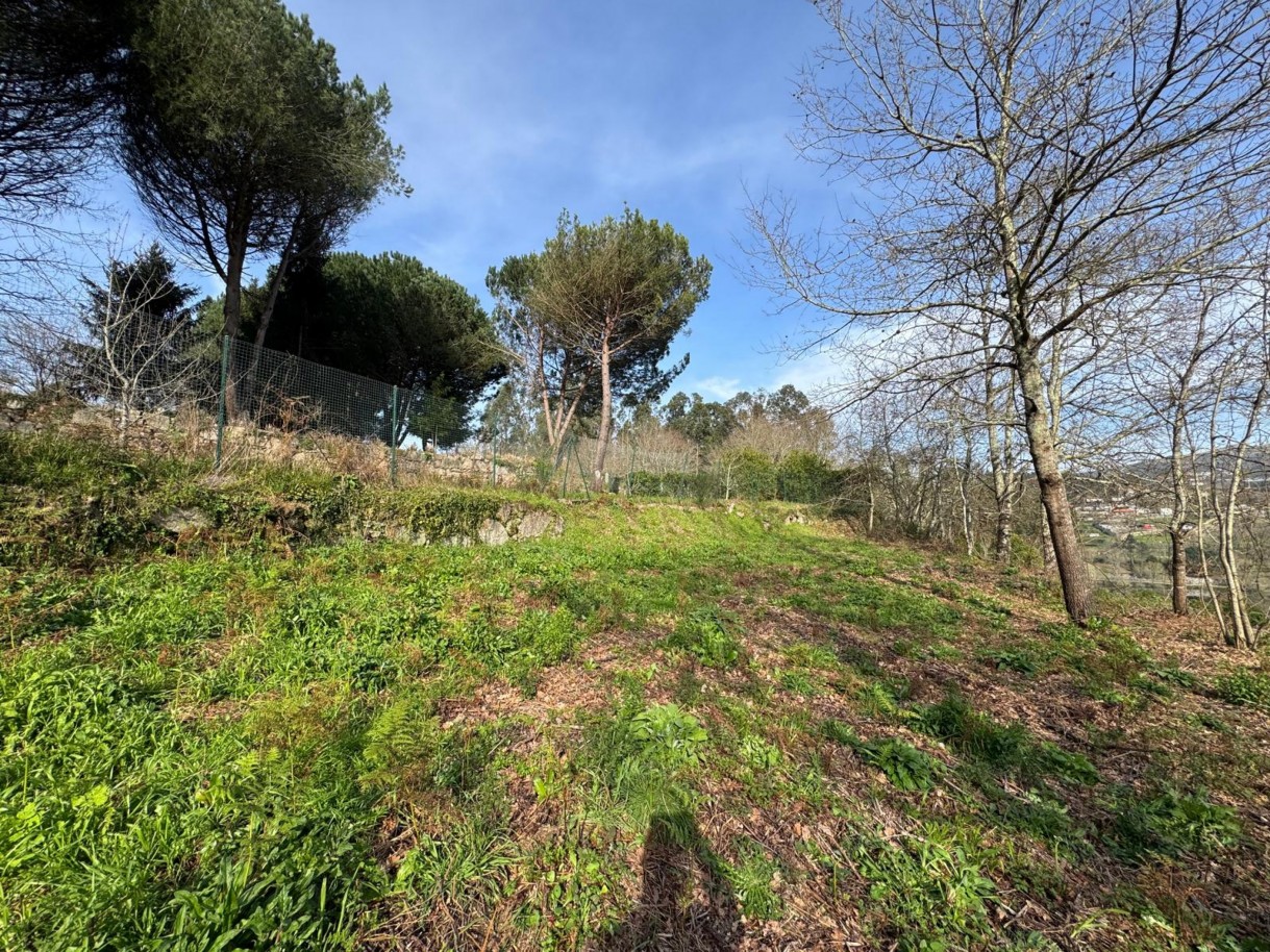 whatsapp-image-2026-03-09-at-102735-25jpeg