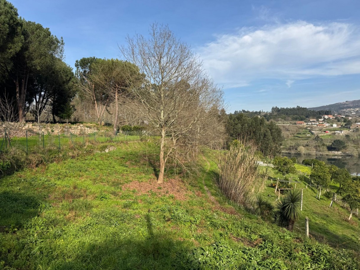 whatsapp-image-2026-03-09-at-102735-27jpeg