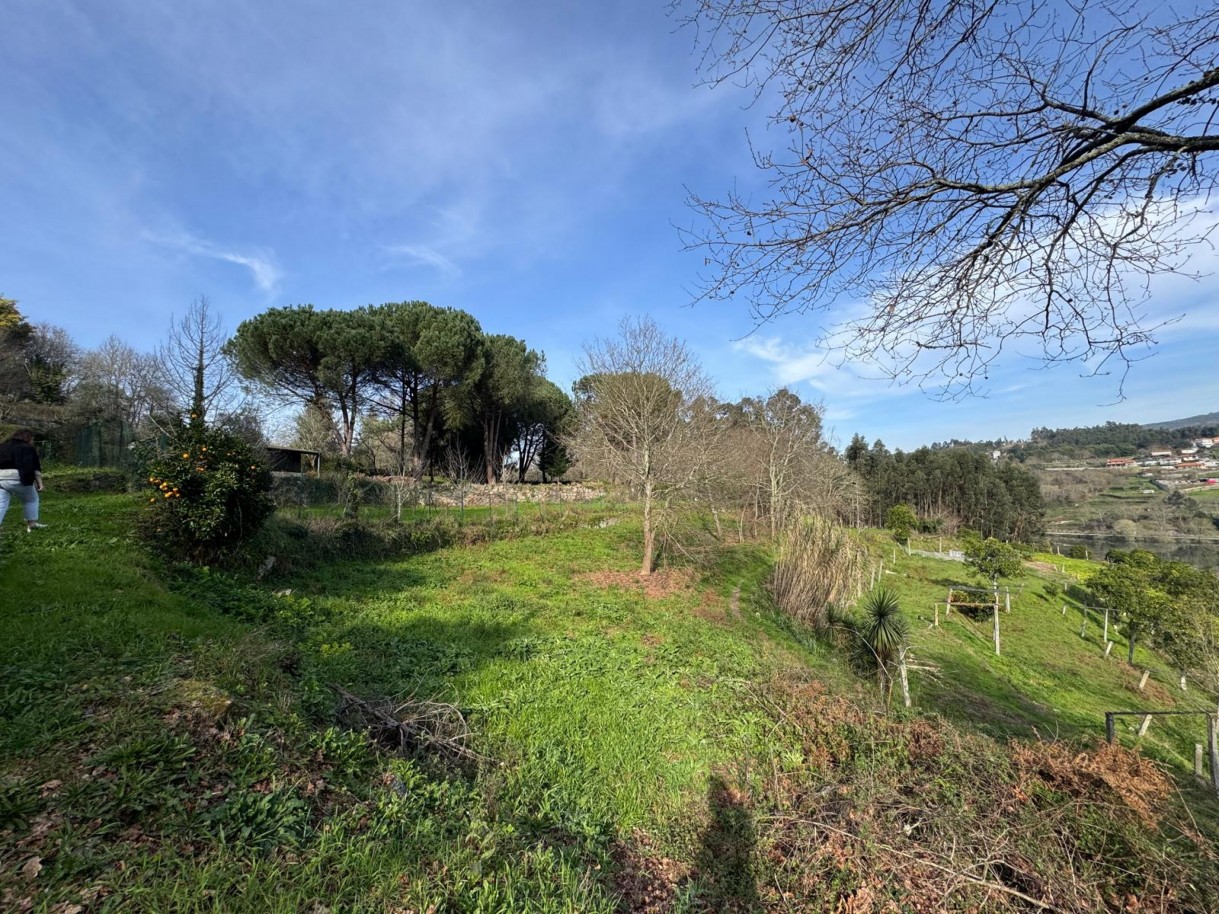 whatsapp-image-2026-03-09-at-102735jpeg