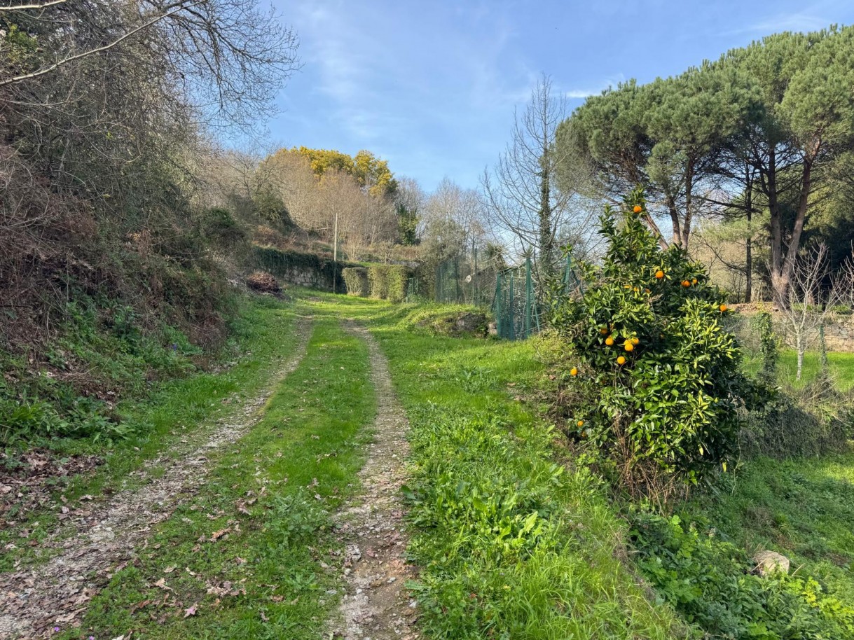 whatsapp-image-2026-03-09-at-102735-28jpeg